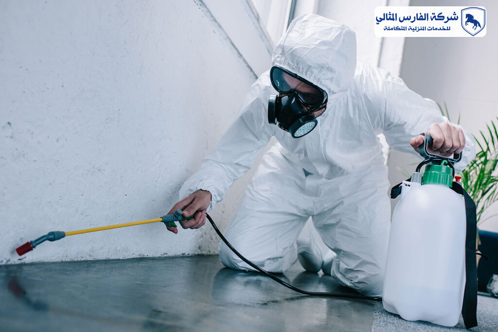 شركة مكافحة حشرات بالدمام | شركة الفارس المثالي