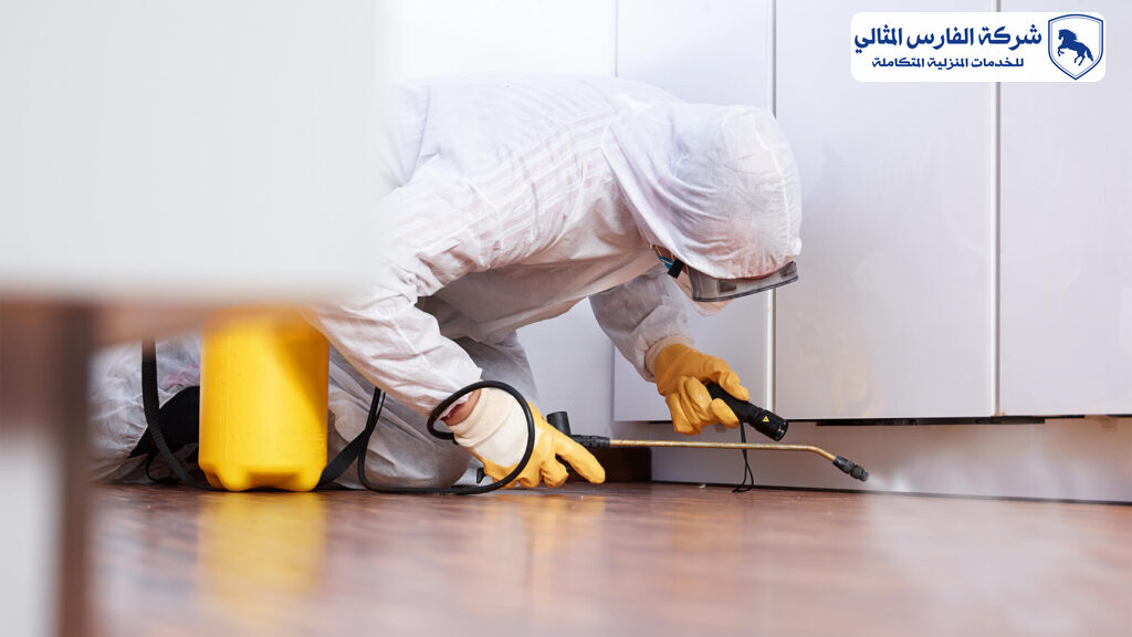 شركة مكافحة حشرات بالجبيل | شركة الفارس المثالي