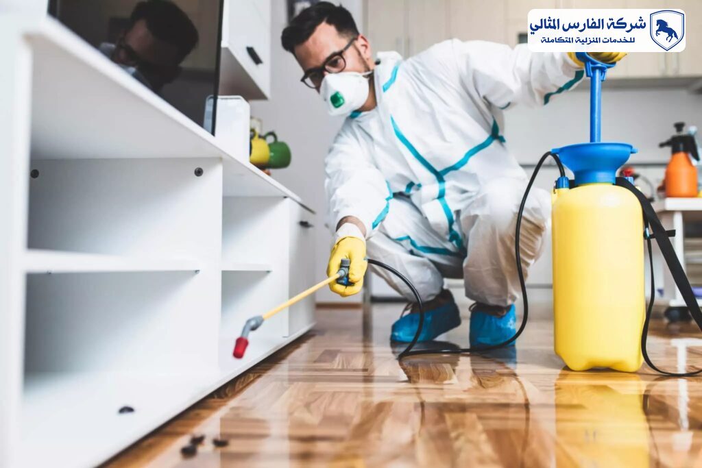 شركة مكافحة حشرات بالاحساء | شركة الفارس المثالي