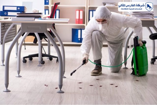 شركة مكافحة حشرات بالقطيف | شركة الفارس المثالي