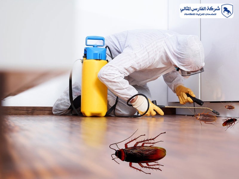شركة مكافحة حشرات بالجبيل | شركة الفارس المثالي