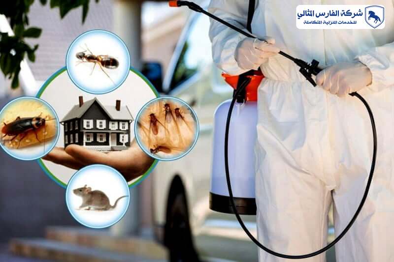 شركة مكافحة حشرات بالجبيل | شركة الفارس المثالي