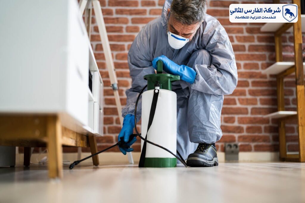 شركة مكافحة حشرات بالقطيف | شركة الفارس المثالي
