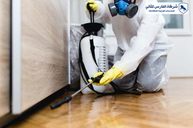 شركة مكافحة حشرات بالاحساء | شركة الفارس المثالي