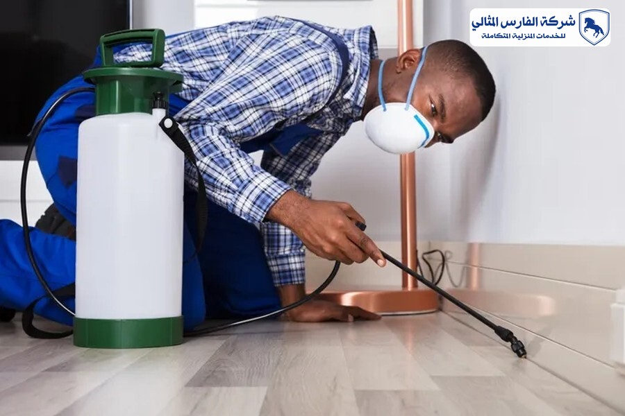 شركة مكافحة حشرات بالقطيف | شركة الفارس المثالي