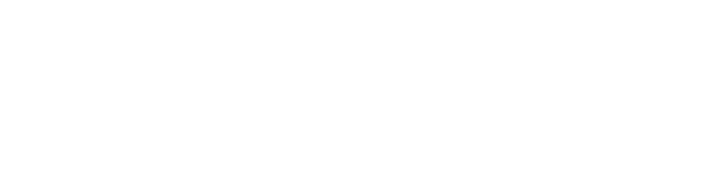 شركة الفارس المثالي