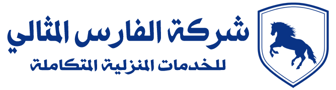 الفارس المثالي